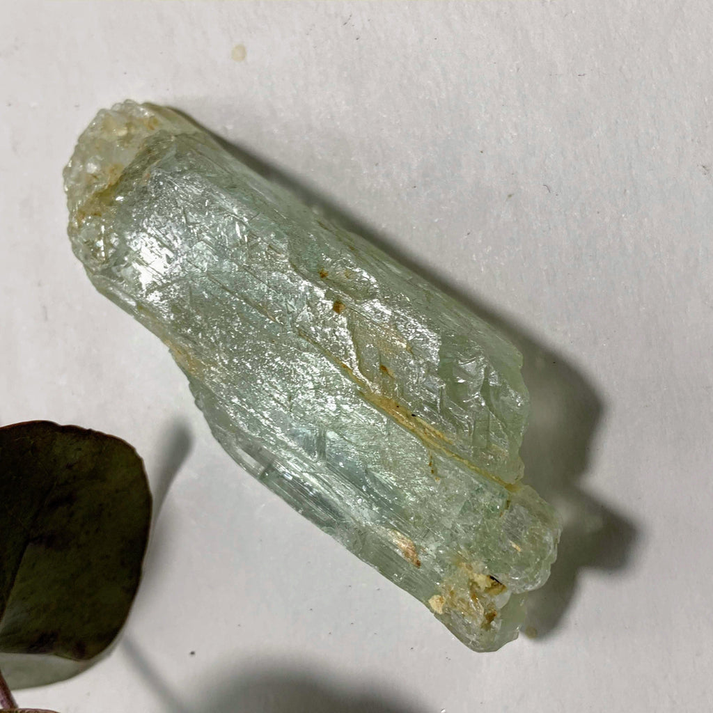 Gorgeous Gemmy Hiddenite (Green Kunzite) from Minas Gerais, Brazil #3 - Earth Family Crystals