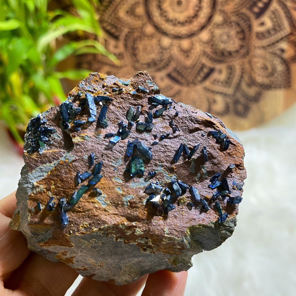 Rare Crystalline Vivianite on Matrix Collectors Specimen~Locality: Tomokoni, Bolivia - Earth Family Crystals