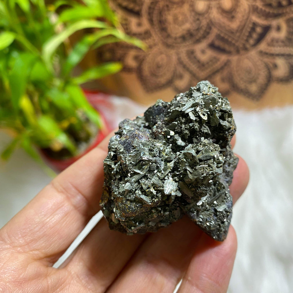 Rare Collectors Sphalerite & Marcasite Specimen from Norman, Oklahoma - Earth Family Crystals