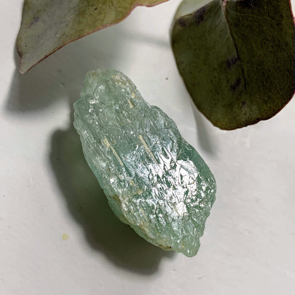 Gorgeous Gemmy Hiddenite (Green Kunzite) from Minas Gerais, Brazil #4 - Earth Family Crystals
