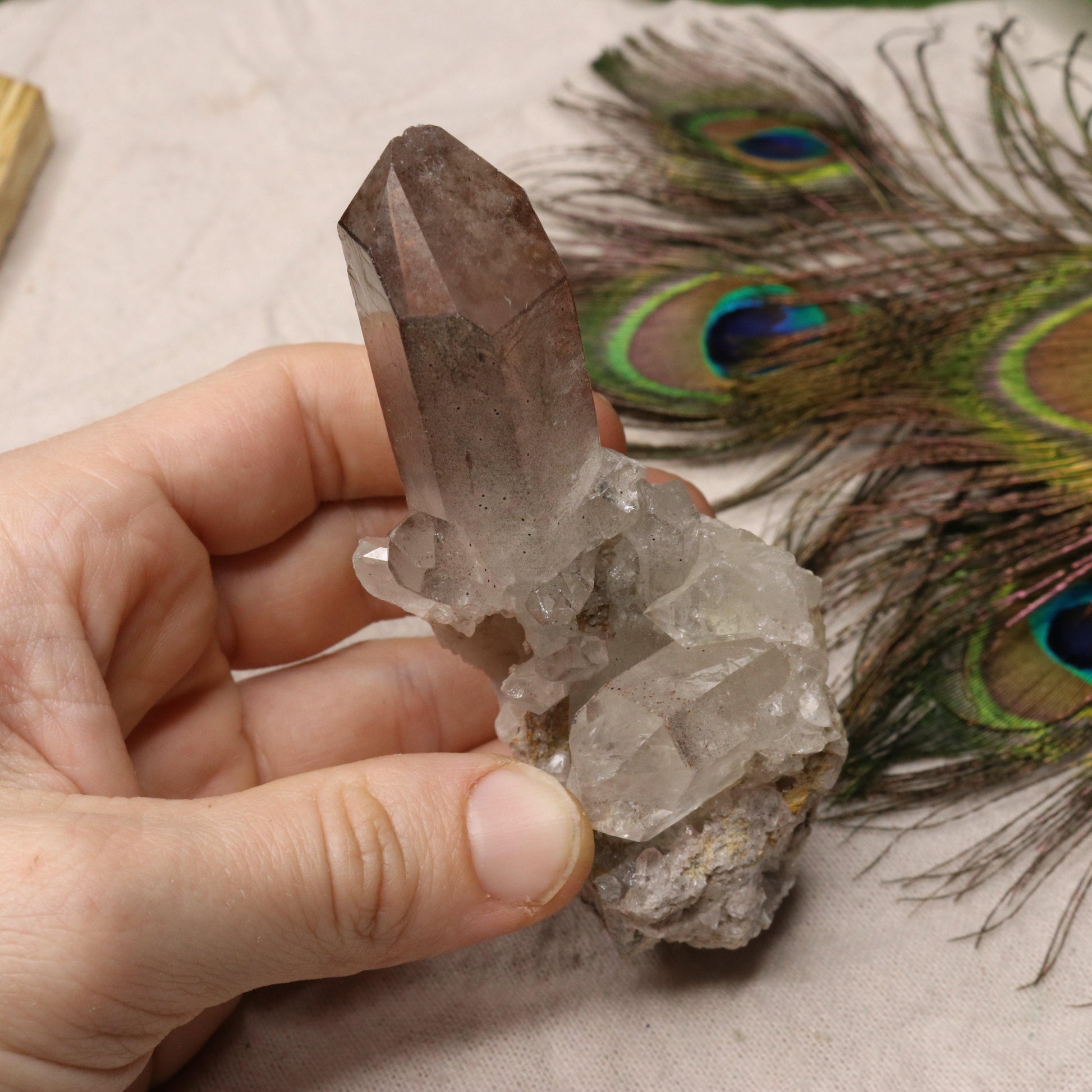 Grade A Lithium Quartz Celestial Cluster Point from Brazil~ Specimen #3 - Earth Family Crystals