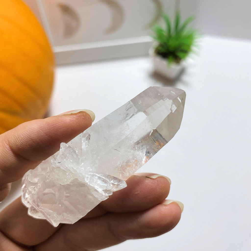 Natural Elestial Double Terminated Clear Quartz Point~Locality Brazil #6 - Earth Family Crystals
