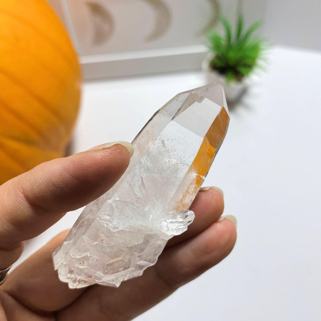 Natural Elestial Double Terminated Clear Quartz Point~Locality Brazil #6 - Earth Family Crystals