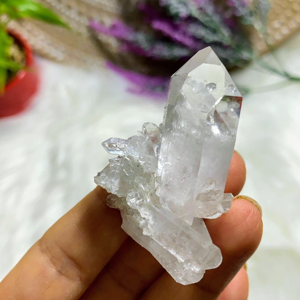 Record Keeepers & Self Healed  Arkansas Clear Quartz Natural Cluster - Earth Family Crystals