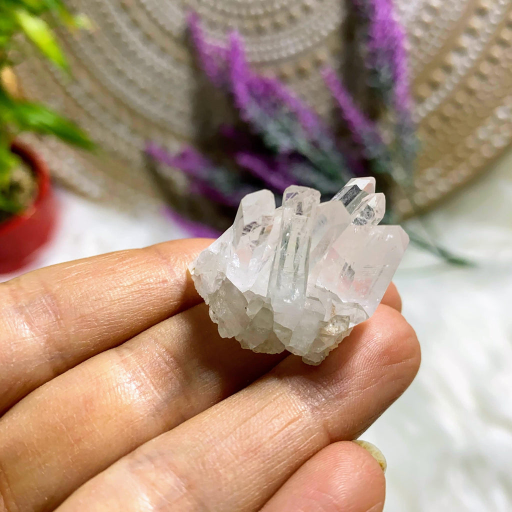Natural Clear Quartz Mini Cluster Arkansas, USA - Earth Family Crystals