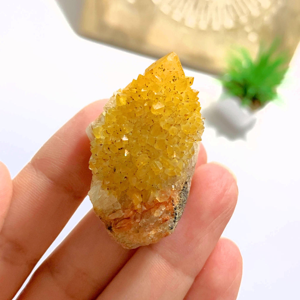 Golden Natural Citrine Spirit Quartz Point from S.Africa - Earth Family Crystals