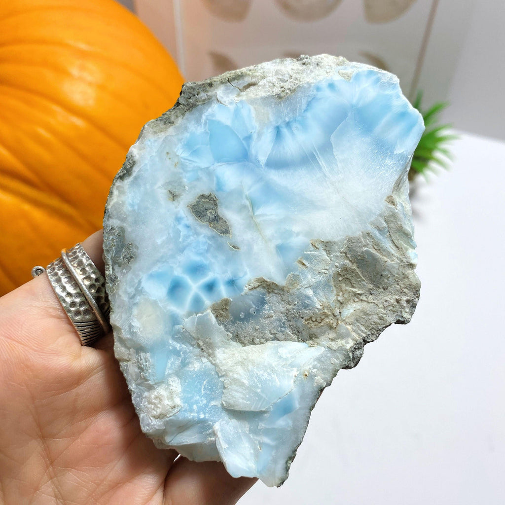 Partially Polished Larimar Large Slice Specimen From The Dominican Republic - Earth Family Crystals