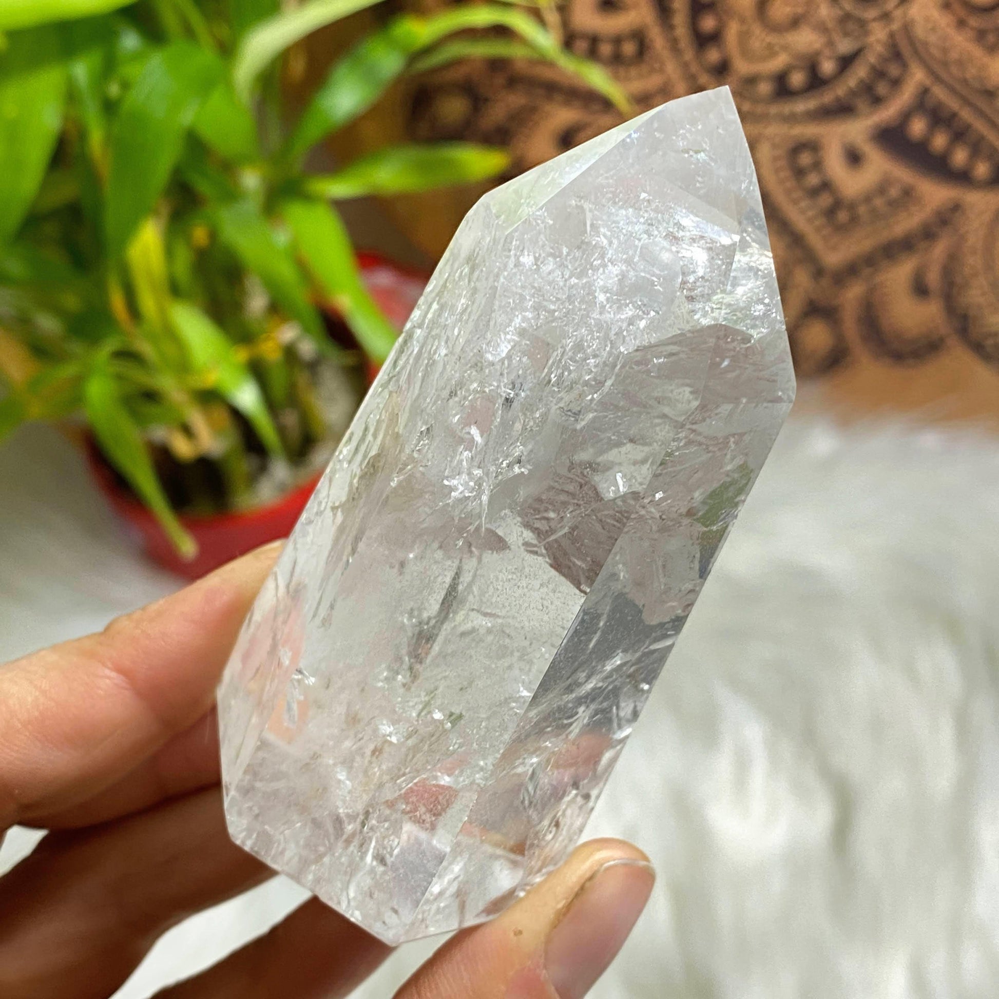 Lovely Brazilian Clear Quartz Standing Display Tower #4 - Earth Family Crystals