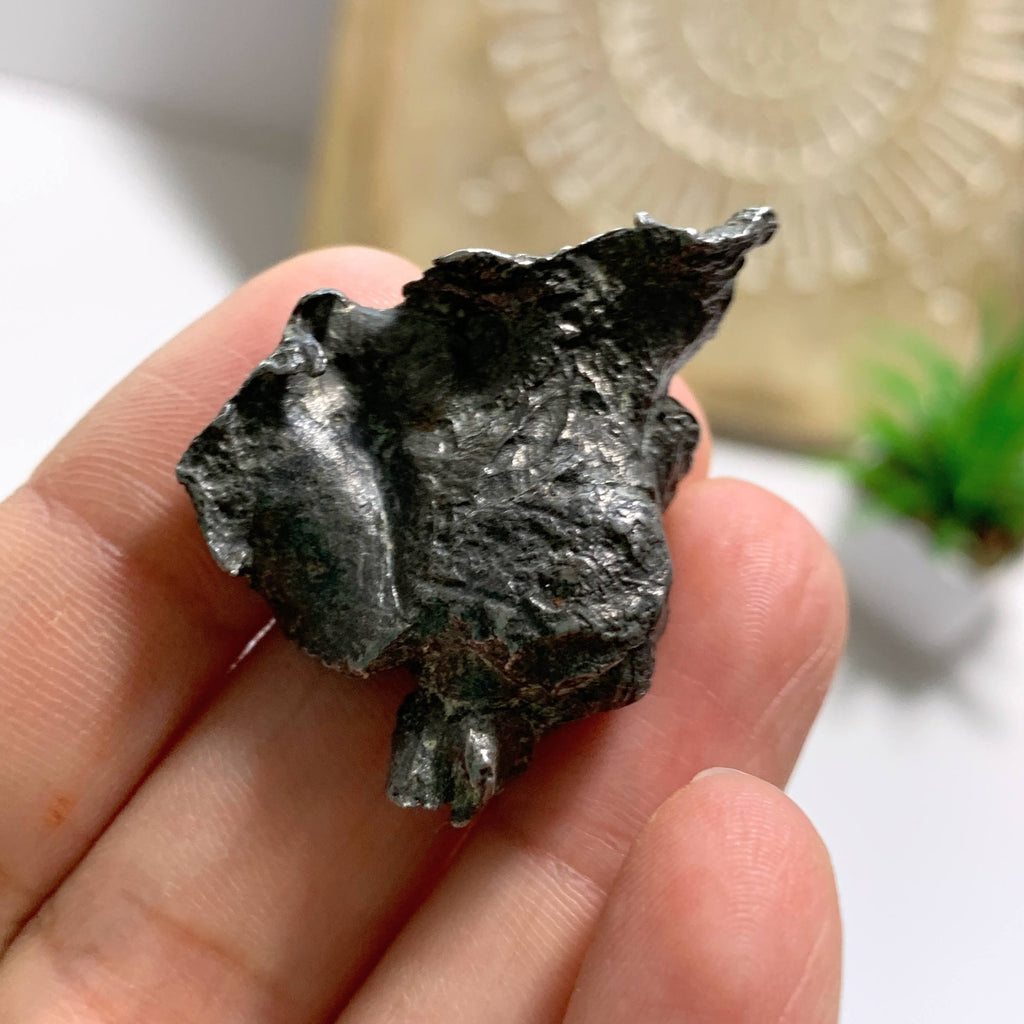 Genuine Meteorite Sikhote Alin From Russia Found in 1947 - Earth Family Crystals