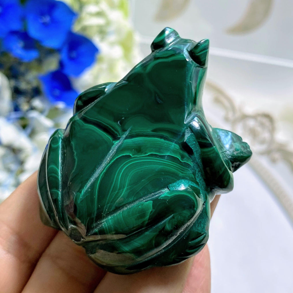 Adorable Malachite Frog Display Carving - Earth Family Crystals