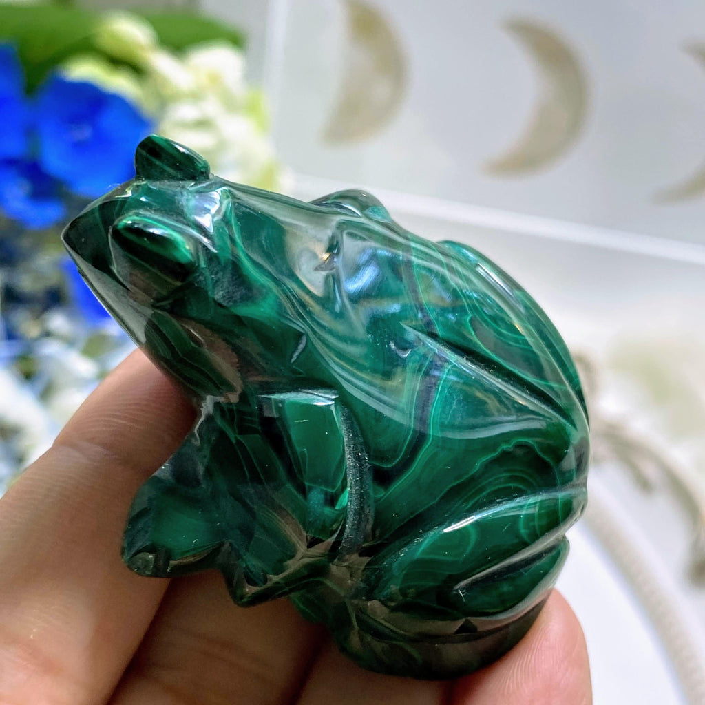 Adorable Malachite Frog Display Carving - Earth Family Crystals