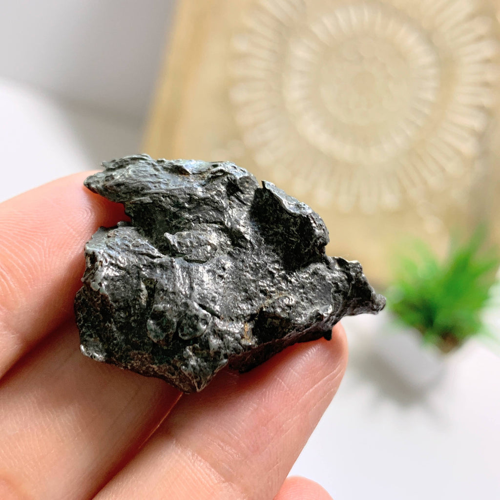 Genuine Meteorite Sikhote Alin From Russia Found in 1947 - Earth Family Crystals