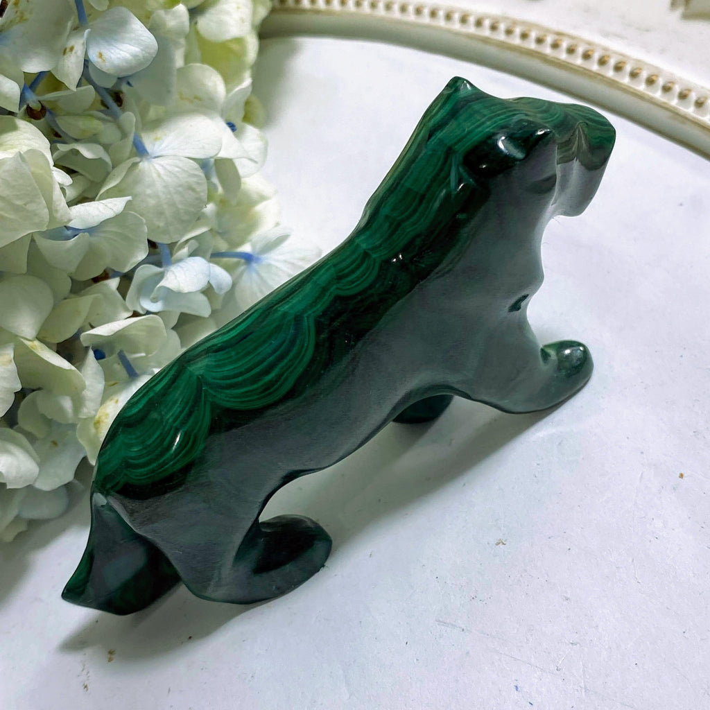 Beautiful Malachite Lion Display Carving #1 - Earth Family Crystals