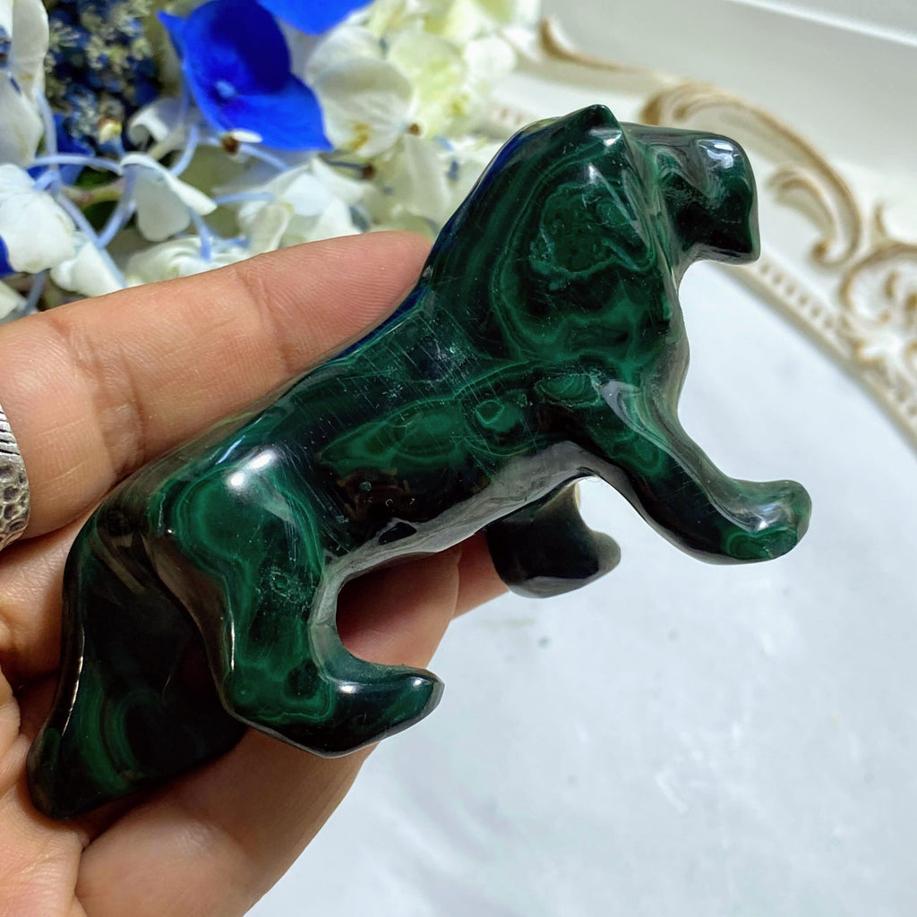 Beautiful Malachite Lion Display Carving #2 *REDUCED - Earth Family Crystals