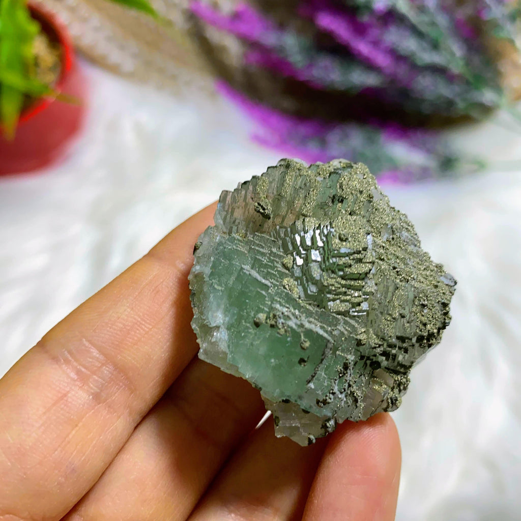 Beautiful Green Fluorite With Sparkling Natural Pyrite Inclusions - Earth Family Crystals