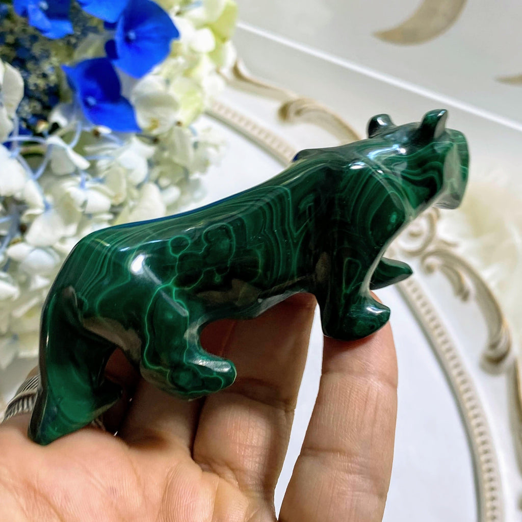 Majestic Malachite Puma Display Carving #1 - Earth Family Crystals