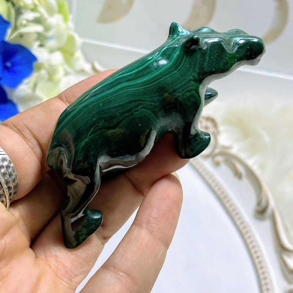 Lovely Patterns Malachite Hippopotamus Display Carving - Earth Family Crystals
