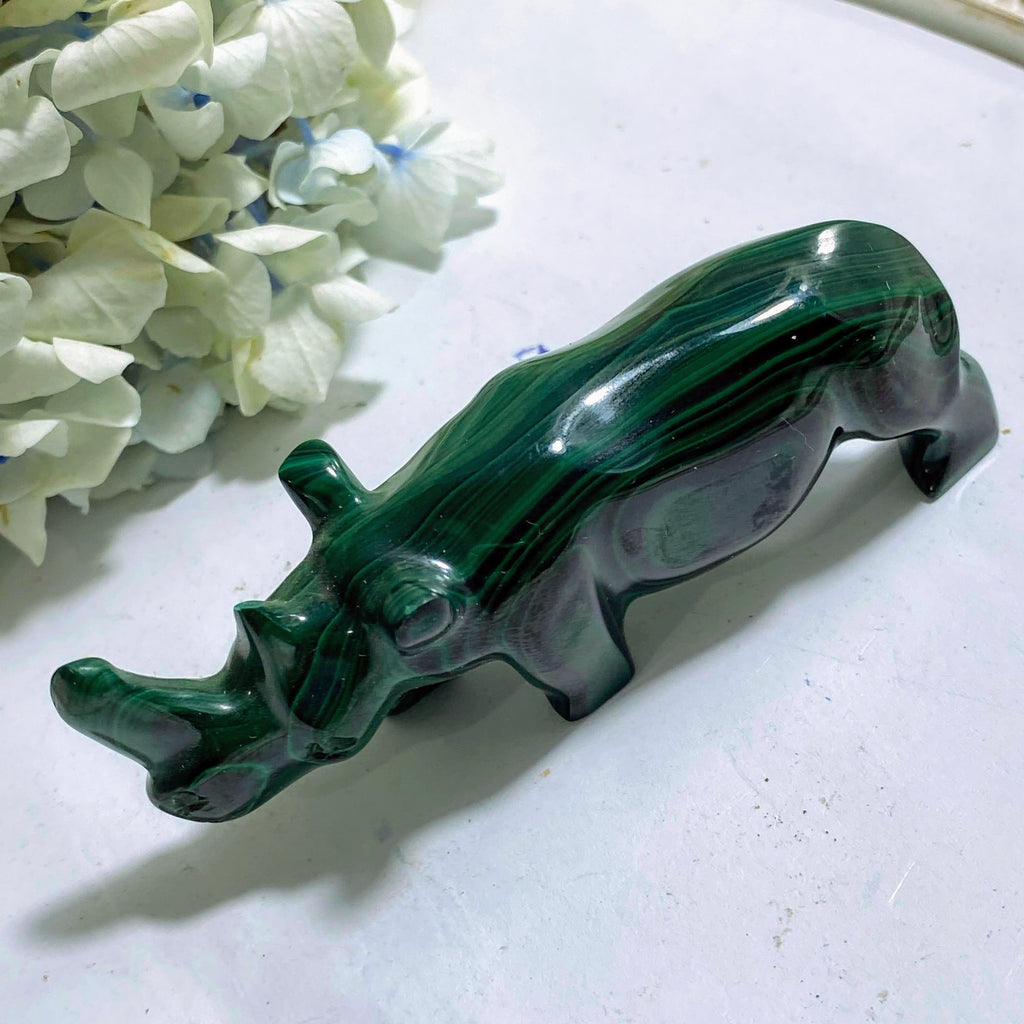 Lovely Patterns Malachite Rhinoceros Display Carving - Earth Family Crystals