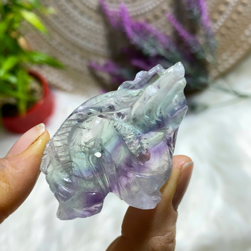 Reserved For Sandy Beautiful Rainbow Fluorite Dragon Polished Specimen *REDUCED* - Earth Family Crystals