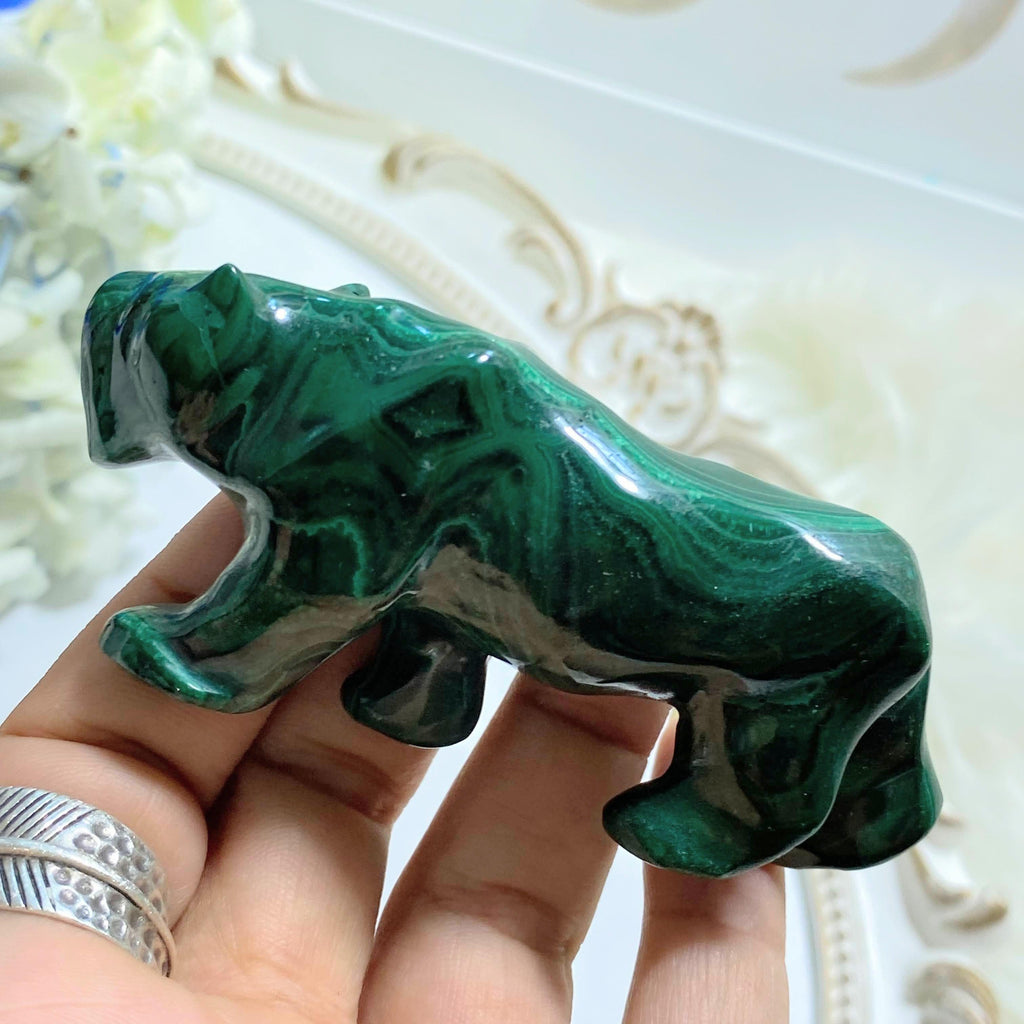 Majestic Malachite Puma Display Carving #2 - Earth Family Crystals