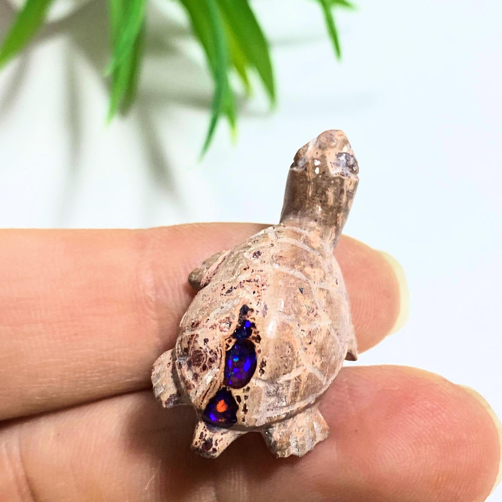 Mexican Fire Opal Flashy Purple Turtle Dainty Carving Specimen - Earth Family Crystals