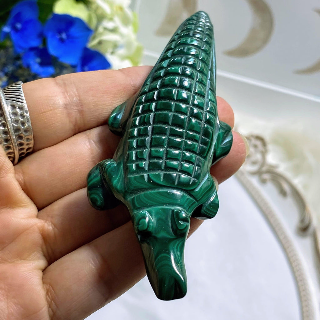 Malachite Alligator Display Carving #1 - Earth Family Crystals