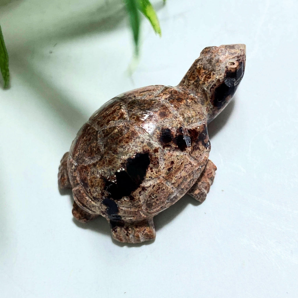 Cute Mexican Fire Opal Turtle Dainty Carving Specimen #1 - Earth Family Crystals