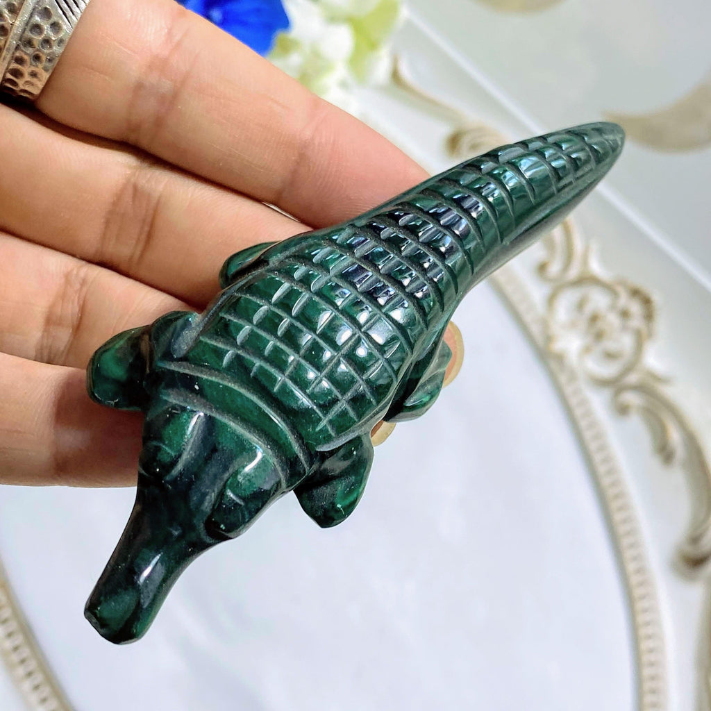 Malachite Alligator Display Carving #2 - Earth Family Crystals