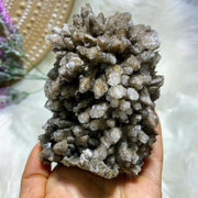 Incredible Stellar Beam Calcite Large Standing Display Specimen From Mexico - Earth Family Crystals