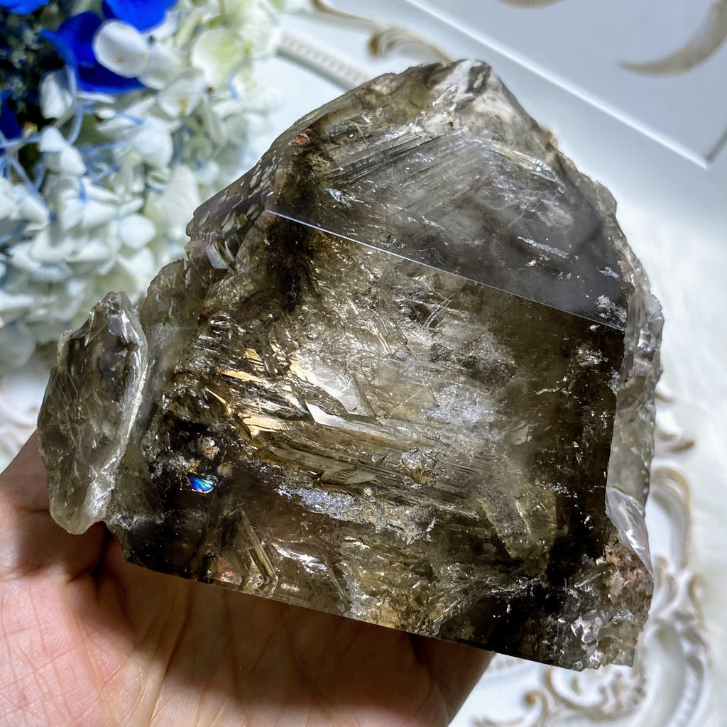 Rare & Unusual Double Moving Water Bubbles! Large Brazilian Smoky Quartz Partially Polished Standing Specimen - Earth Family Crystals