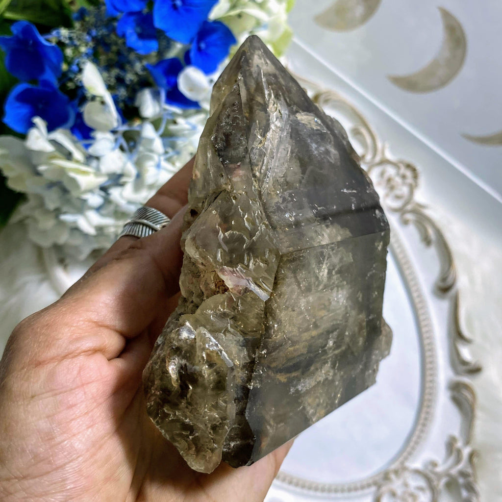 Rare & Unusual Double Moving Water Bubbles! Large Brazilian Smoky Quartz Partially Polished Standing Specimen - Earth Family Crystals