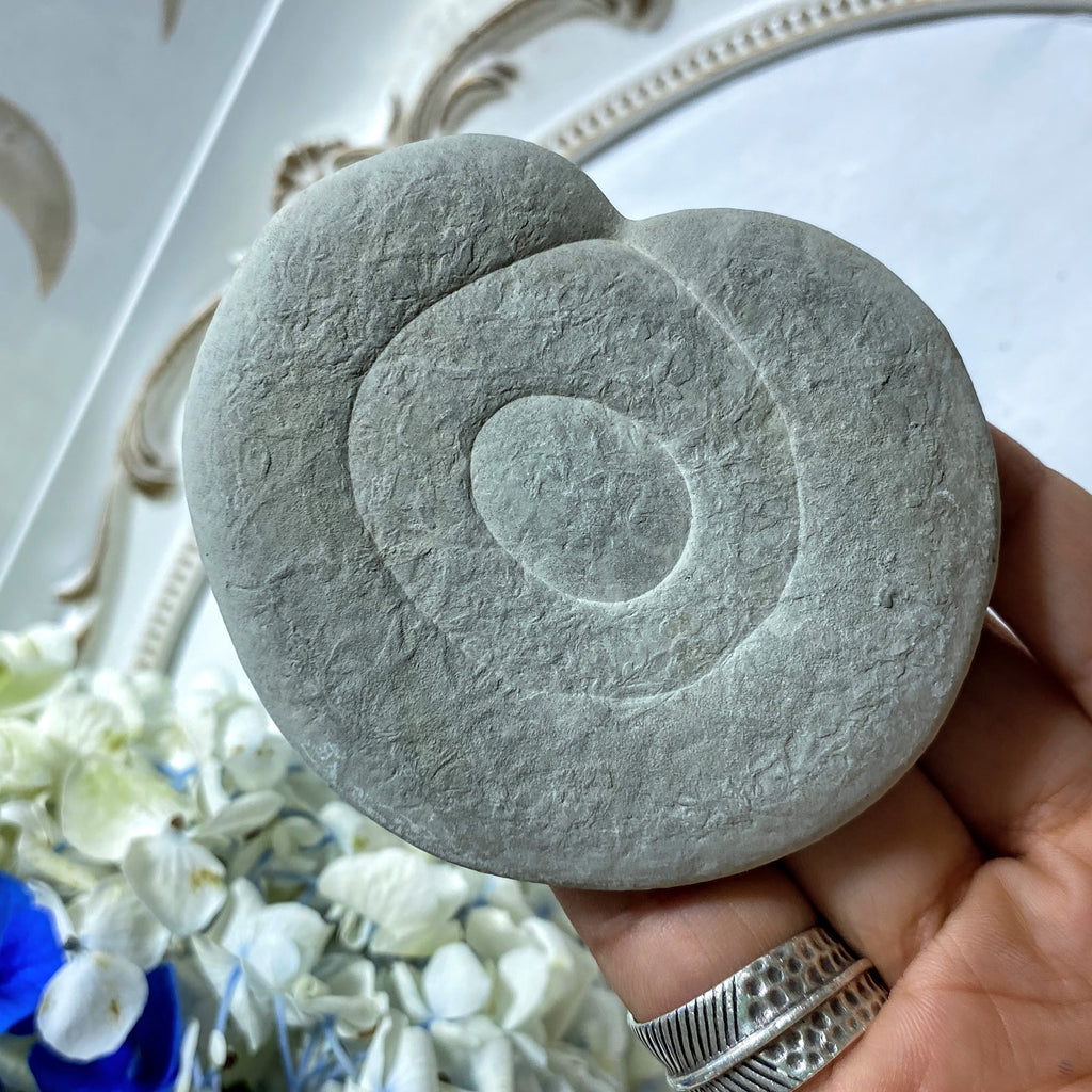 One of a Kind Fairy Stone Concretion Natural Large Specimen ~Locality: Quebec Canada #4 - Earth Family Crystals