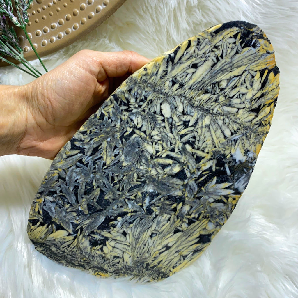 Picturesque XXL  Pinolite Partially Polished Display  Specimen (Locale: Canadian Mountains) - Earth Family Crystals