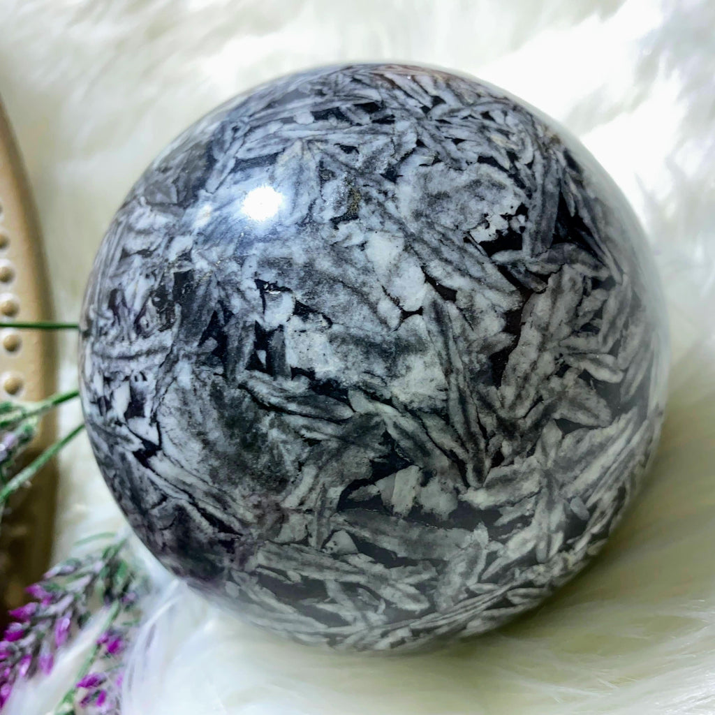 NEW FIND! Jumbo 2.3KG Picturesque Pinolite Display Sphere Carving (Locale: Canadian Mountains) - Earth Family Crystals