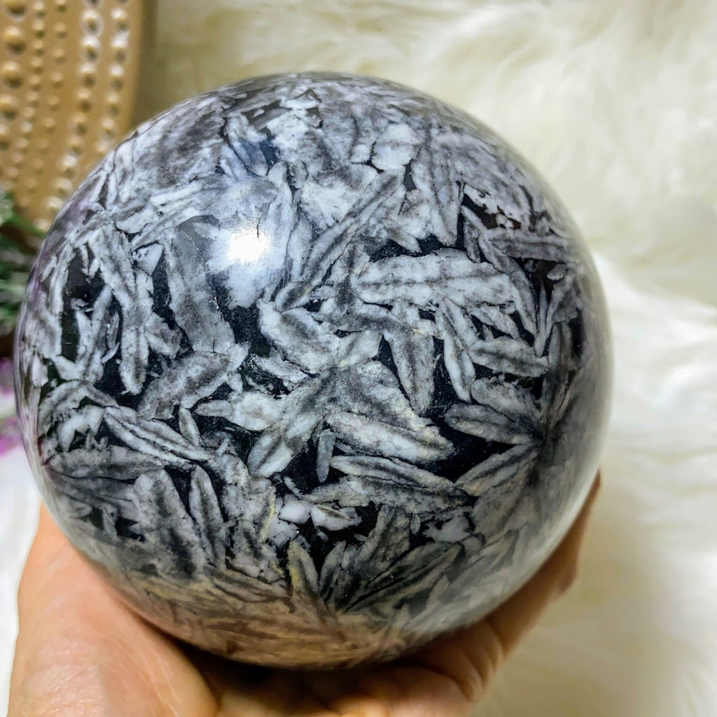 NEW FIND! Jumbo 2.3KG Picturesque Pinolite Display Sphere Carving (Locale: Canadian Mountains) - Earth Family Crystals