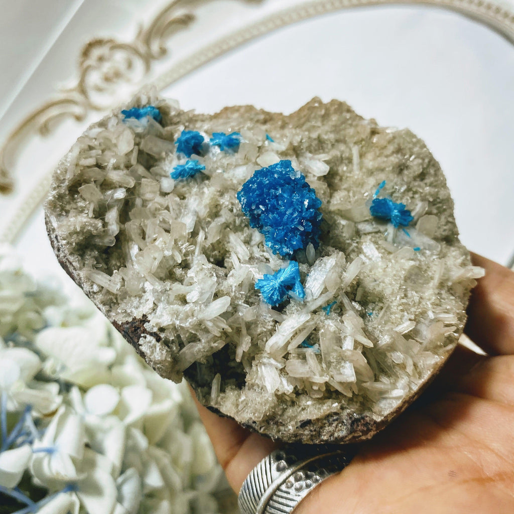 Rare AA Grade Collectors Cavansite Clusters Nestled in Sparkly Stilbite Matrix From India - Earth Family Crystals