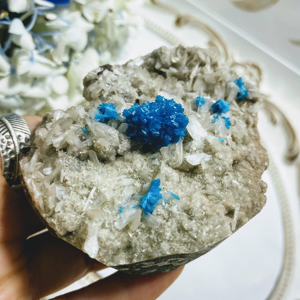 Rare AA Grade Collectors Cavansite Clusters Nestled in Sparkly Stilbite Matrix From India - Earth Family Crystals