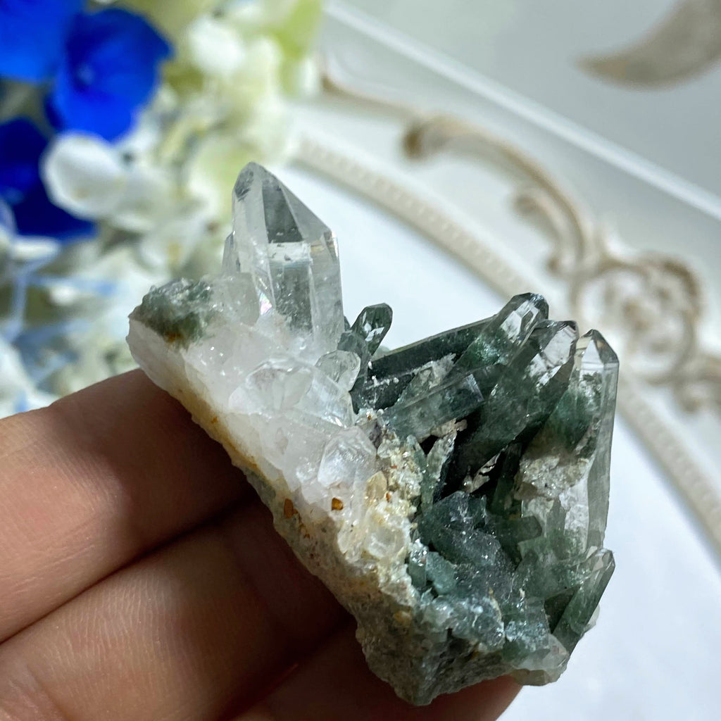 Rare Find! Samadhi Green Himalayan Quartz Cluster #1 - Earth Family Crystals