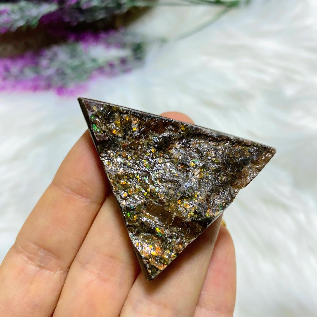 Genuine Natural Alberta Ammolite Fossil Free Form Hand Held Specimen - Earth Family Crystals