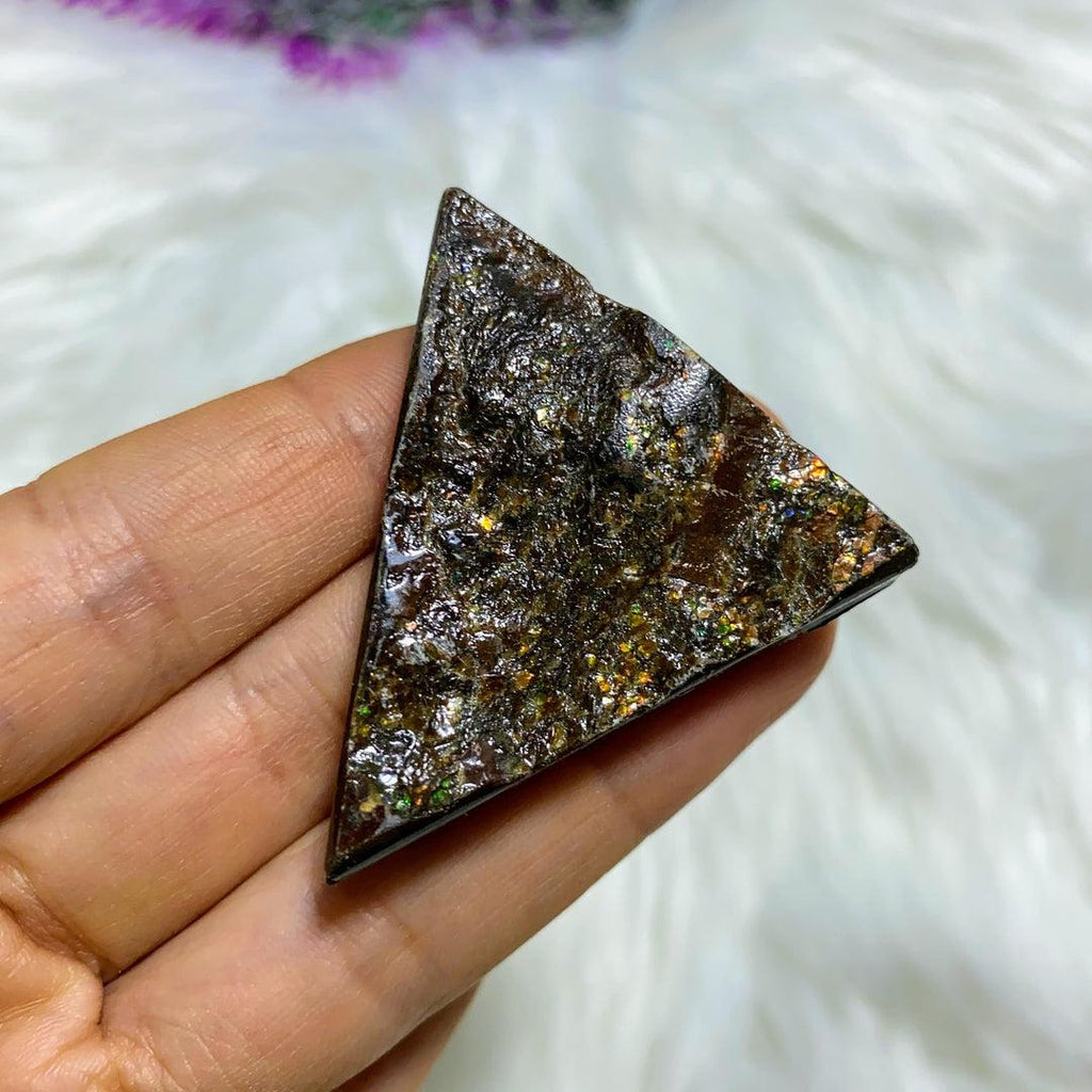 Genuine Natural Alberta Ammolite Fossil Free Form Hand Held Specimen - Earth Family Crystals