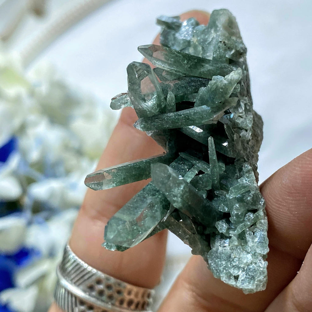 Rare Samadhi Green Himalayan Quartz Cluster #2 - Earth Family Crystals