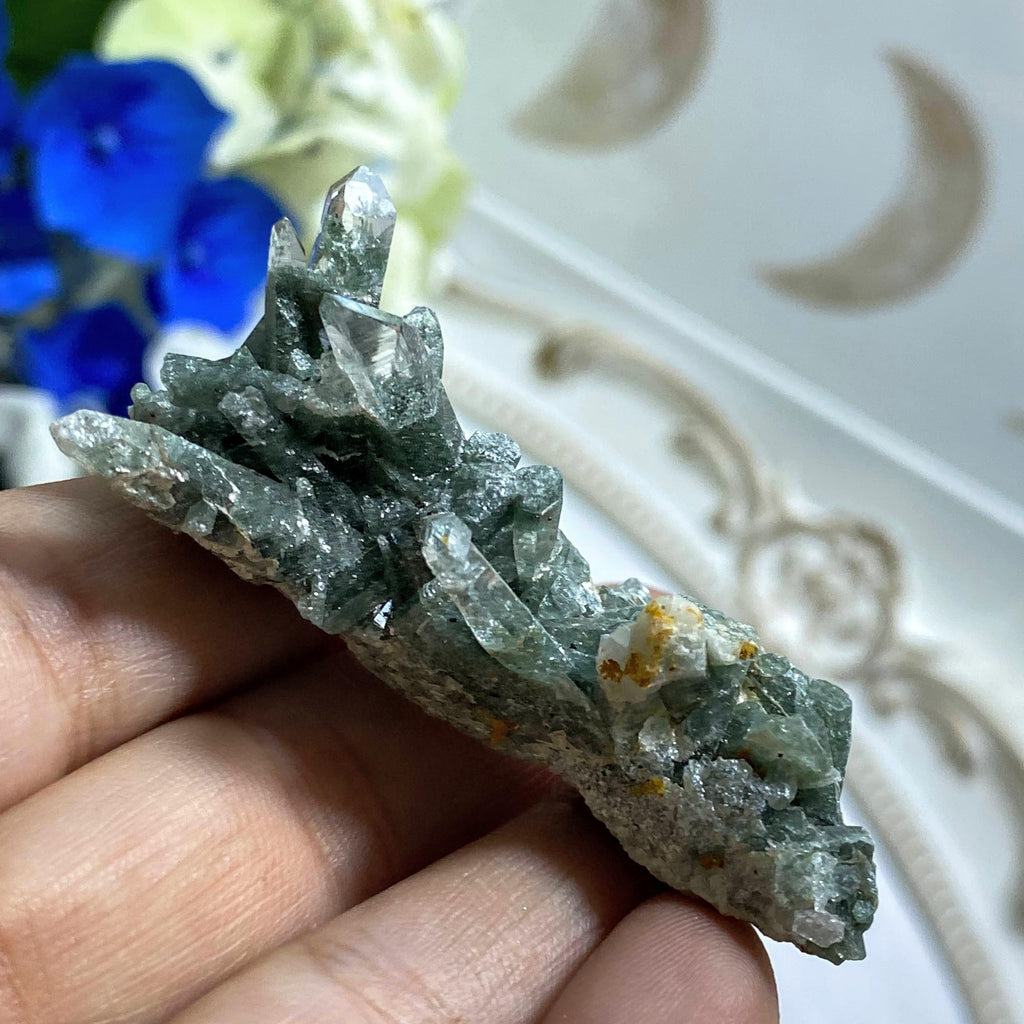 Rare Samadhi Green Himalayan Quartz Cluster #3 - Earth Family Crystals