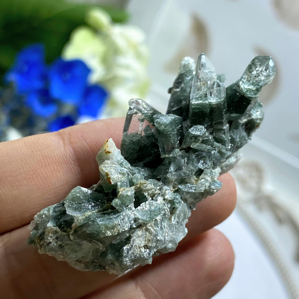 Rare Samadhi Green Himalayan Quartz Cluster #3 - Earth Family Crystals