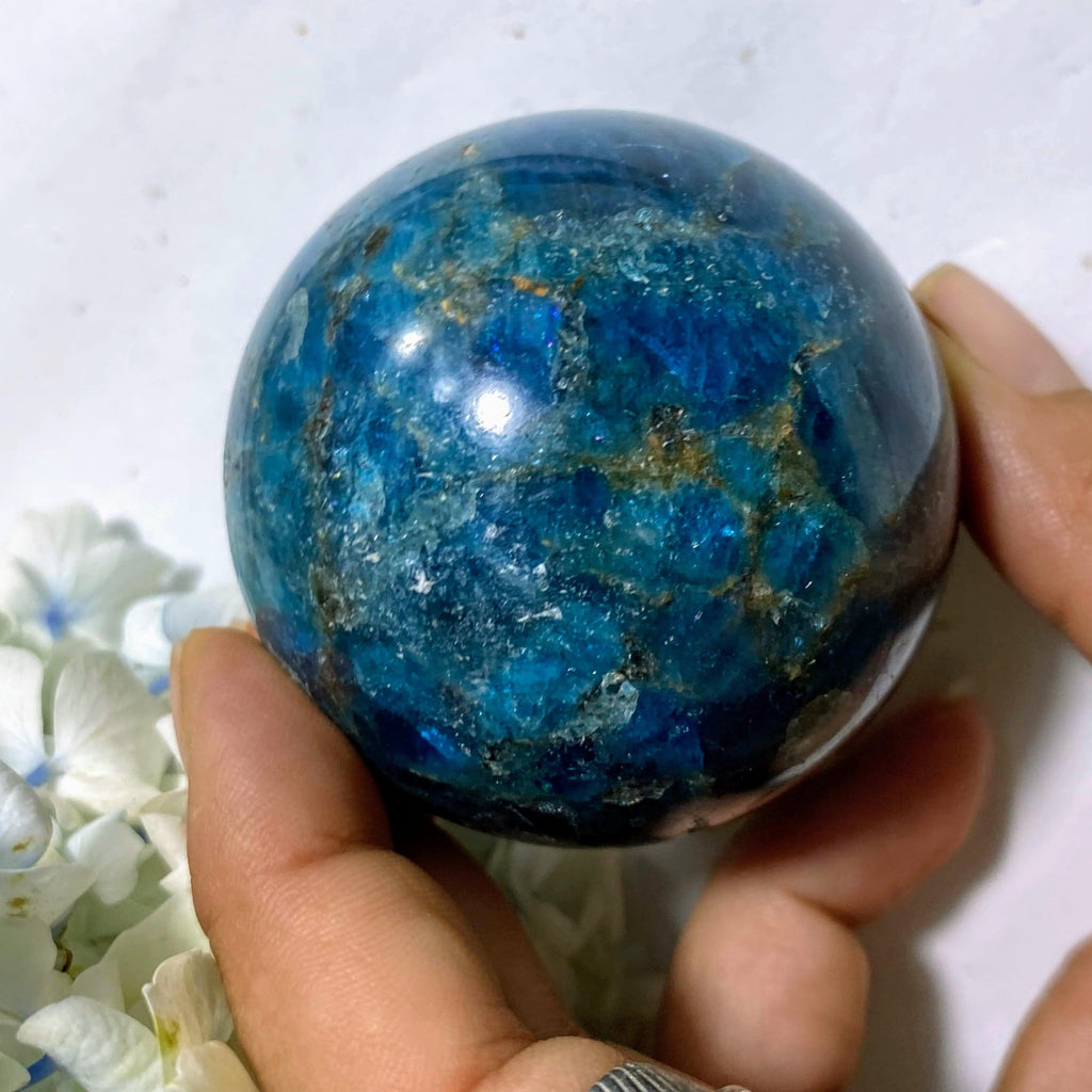 Blue Apatite Large Sphere Partially Polished Carving #3 (Includes Wood Stand) - Earth Family Crystals