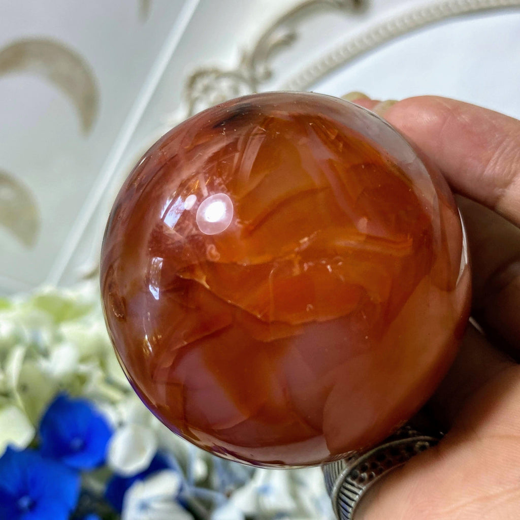 Fiery Orange/Red Carnelian Large Sphere From Madagascar (Includes Wood Stand) #1 - Earth Family Crystals