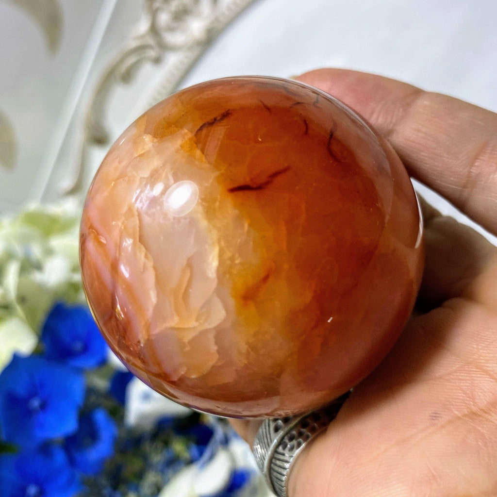Fiery Orange/Red Carnelian Medium Sphere From Madagascar (Includes Wood Stand) - Earth Family Crystals