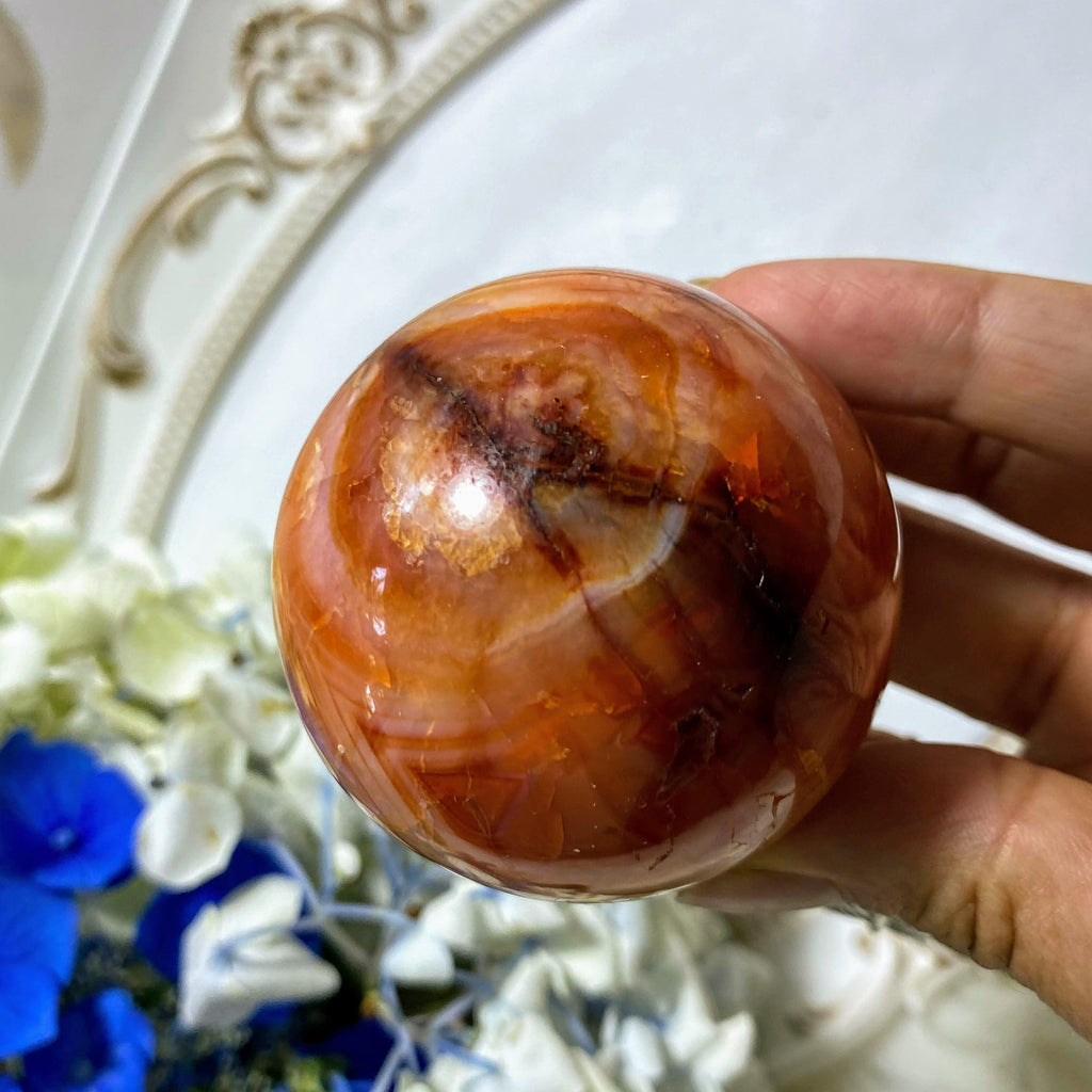 Fiery Orange/Red Carnelian Medium Sphere From Madagascar (Includes Wood Stand) - Earth Family Crystals