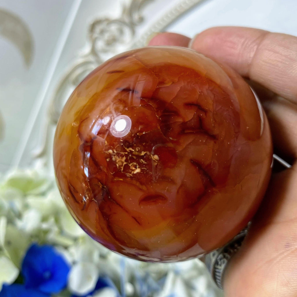 Fiery Orange/Red Carnelian Large Sphere From Madagascar (Includes Wood Stand) #3 - Earth Family Crystals
