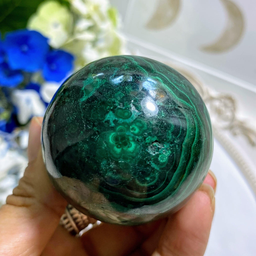 Beautiful Deep Green Swirls Malachite Sphere Carving (Includes Wood Stand) - Earth Family Crystals
