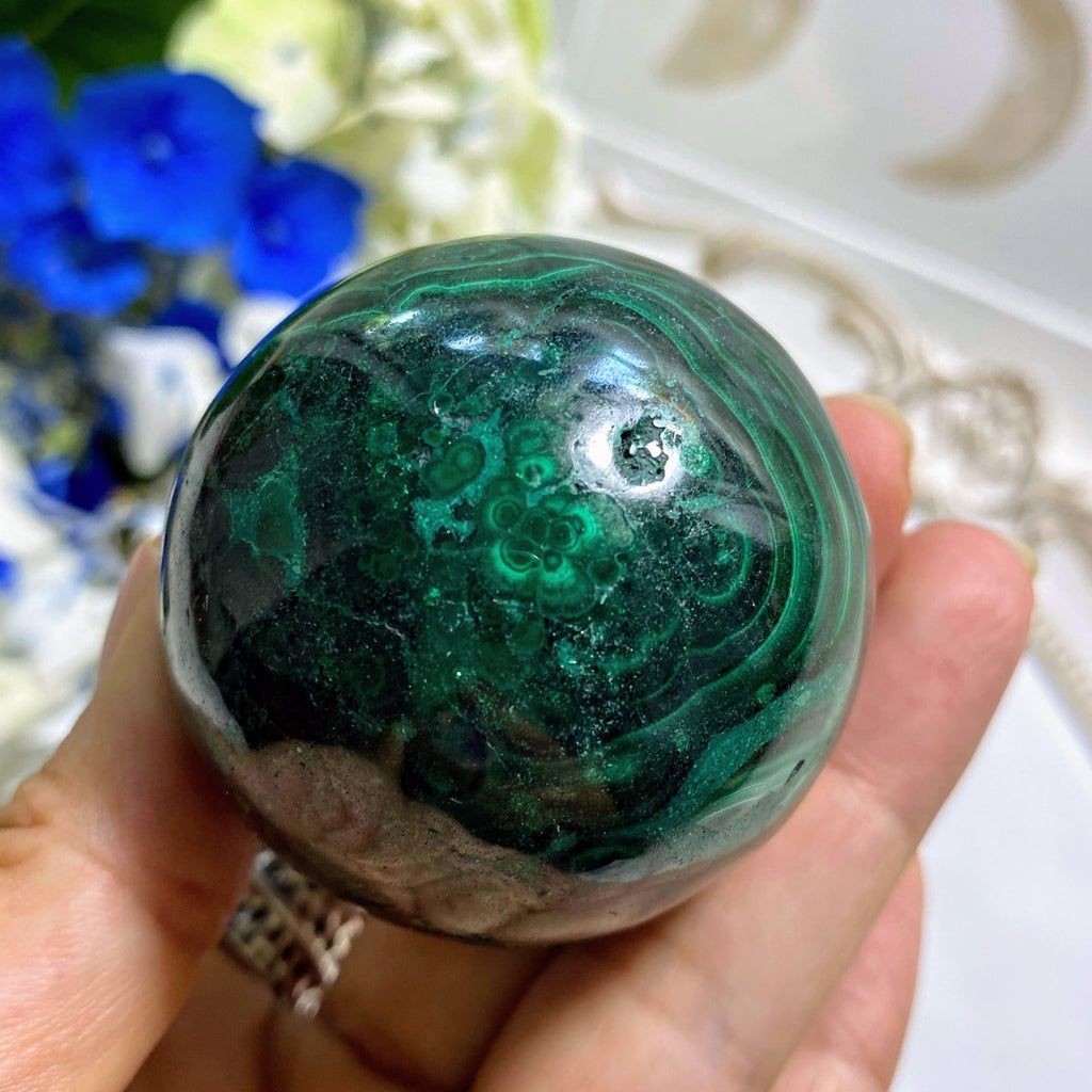 Beautiful Deep Green Swirls Malachite Sphere Carving (Includes Wood Stand) - Earth Family Crystals